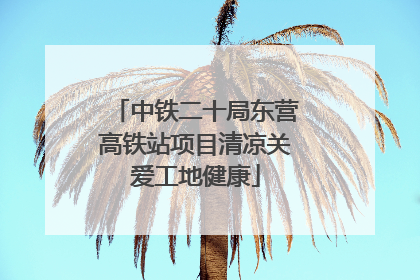 中铁二十局东营高铁站项目清凉关爱工地健康