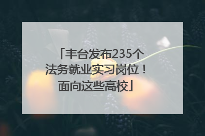 丰台发布235个法务就业实习岗位！面向这些高校