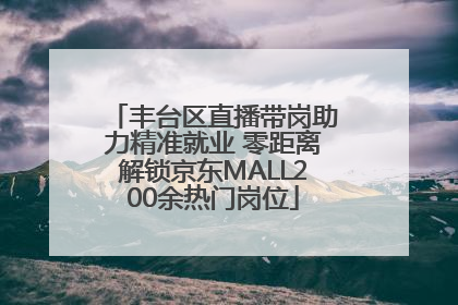 丰台区直播带岗助力精准就业 零距离解锁京东MALL200余热门岗位