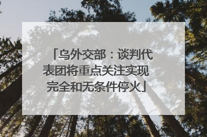乌外交部：谈判代表团将重点关注实现完全和无条件停火