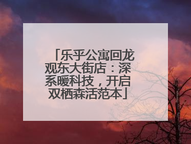 乐乎公寓回龙观东大街店：深系暖科技，开启双栖森活范本