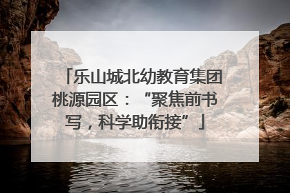 乐山城北幼教育集团桃源园区：“聚焦前书写，科学助衔接”
