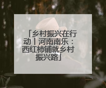 乡村振兴在行动丨河南南乐：西红柿铺就乡村振兴路