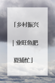 乡村振兴｜业旺鱼肥夏捕忙
