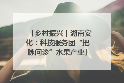 乡村振兴｜湖南安化：科技服务团“把脉问诊”水果产业