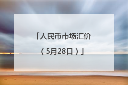 人民币市场汇价（5月28日）