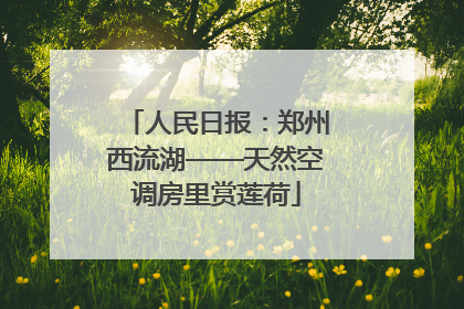 人民日报：郑州西流湖——天然空调房里赏莲荷