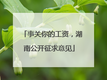 事关你的工资，湖南公开征求意见