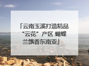 云南玉溪打造精品“云花”产区 蝴蝶兰飘香东南亚
