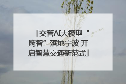 交管AI大模型“鹰智”落地宁波 开启智慧交通新范式
