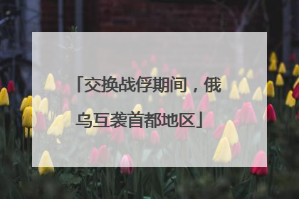 交换战俘期间，俄乌互袭首都地区