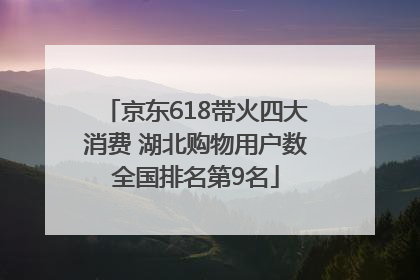 京东618带火四大消费 湖北购物用户数全国排名第9名
