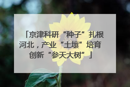 京津科研“种子”扎根河北，产业“土壤”培育创新“参天大树”