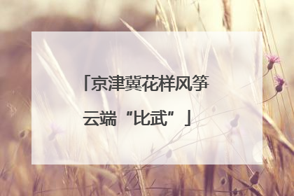 京津冀花样风筝云端“比武”