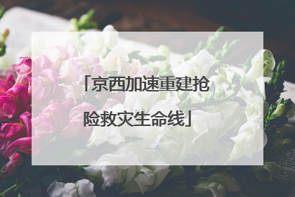 京西加速重建抢险救灾生命线