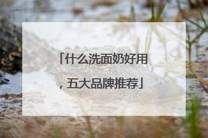 什么洗面奶好用，五大品牌推荐