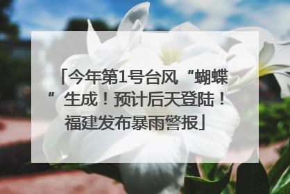 今年第1号台风“蝴蝶”生成！预计后天登陆！福建发布暴雨警报