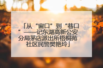 从“窗口”到“巷口”——记东湖高新公安分局茅店派出所梧桐苑社区民警樊艳玲