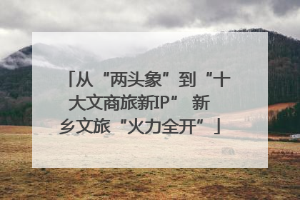 从“两头象”到“十大文商旅新IP” 新乡文旅“火力全开”