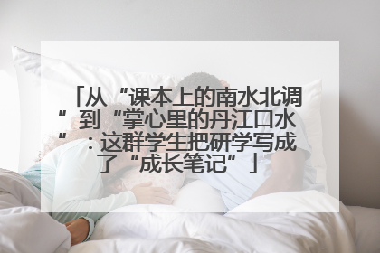 从“课本上的南水北调”到“掌心里的丹江口水”：这群学生把研学写成了“成长笔记”