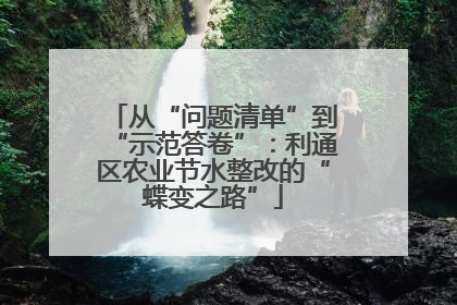 从“问题清单”到“示范答卷”：利通区农业节水整改的“蝶变之路”