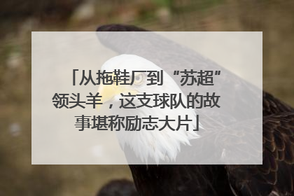从拖鞋厂到“苏超”领头羊，这支球队的故事堪称励志大片