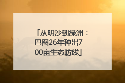 从明沙到绿洲：巴图26年种出700亩生态防线