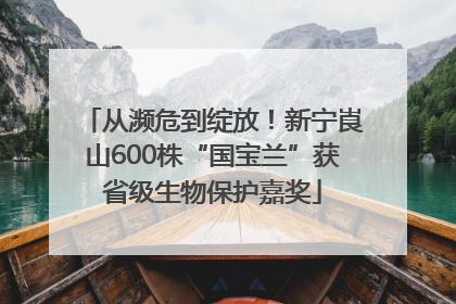 从濒危到绽放！新宁崀山600株“国宝兰”获省级生物保护嘉奖
