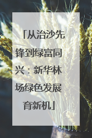 从治沙先锋到绿富同兴：新华林场绿色发展育新机