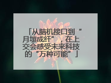 从脑机接口到“月壤成纤”，在上交会感受未来科技的“万种可能”