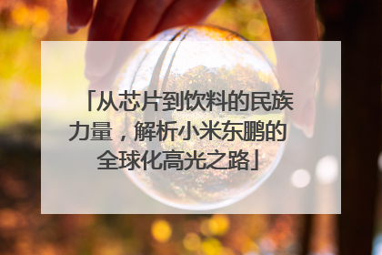 从芯片到饮料的民族力量，解析小米东鹏的全球化高光之路