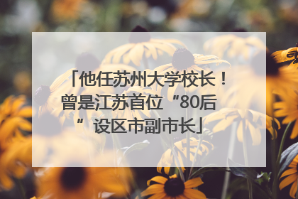 他任苏州大学校长！曾是江苏首位“80后”设区市副市长
