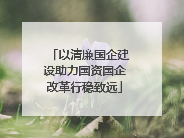 以清廉国企建设助力国资国企改革行稳致远