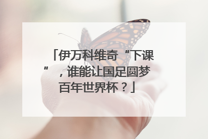 伊万科维奇“下课”，谁能让国足圆梦百年世界杯？