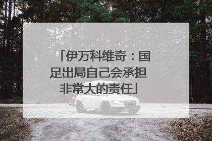 伊万科维奇：国足出局自己会承担非常大的责任