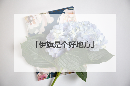 伊旗是个好地方