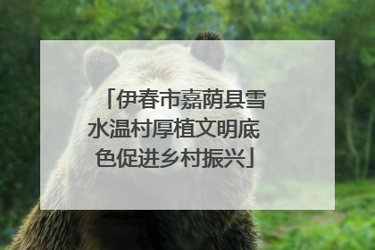 伊春市嘉荫县雪水温村厚植文明底色促进乡村振兴