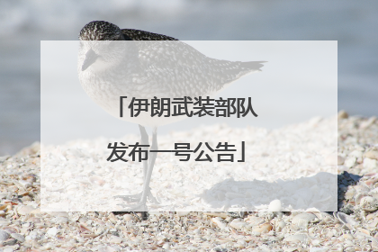 伊朗武装部队发布一号公告