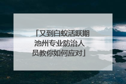 又到白蚁活跃期 池州专业防治人员教你如何应对