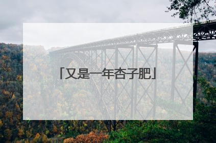 又是一年杏子肥