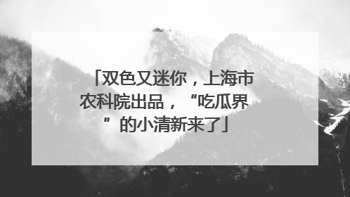 双色又迷你，上海市农科院出品，“吃瓜界”的小清新来了