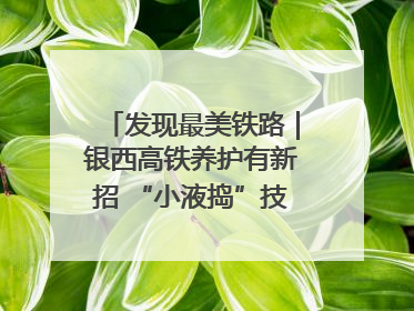 发现最美铁路｜银西高铁养护有新招 “小液捣”技术安全又准确