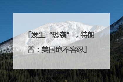 发生“恐袭”，特朗普：美国绝不容忍
