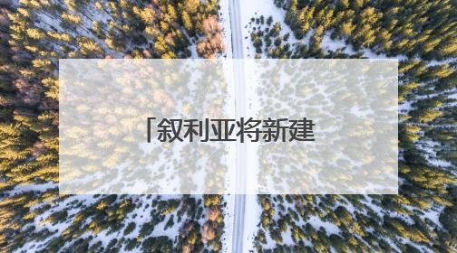 叙利亚将新建数座机场 恢复更多国际航线