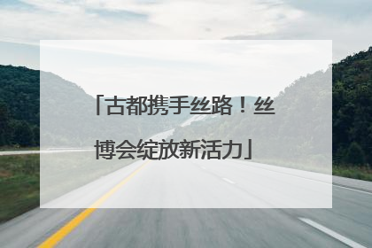 古都携手丝路！丝博会绽放新活力