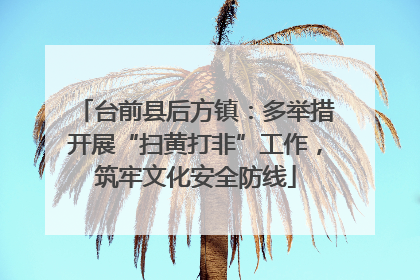 台前县后方镇：多举措开展“扫黄打非”工作，筑牢文化安全防线