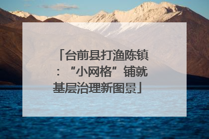 台前县打渔陈镇：“小网格”铺就基层治理新图景