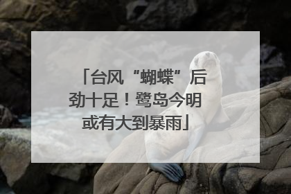 台风“蝴蝶”后劲十足！鹭岛今明或有大到暴雨