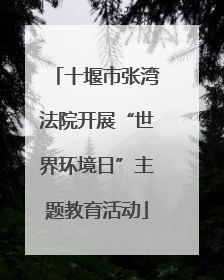 十堰市张湾法院开展“世界环境日”主题教育活动