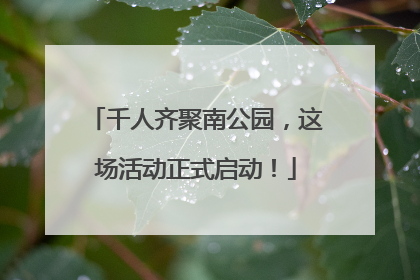 千人齐聚南公园，这场活动正式启动！